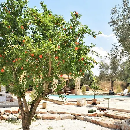 Wepuglia - Paradise Trulli * Castellana Grotte