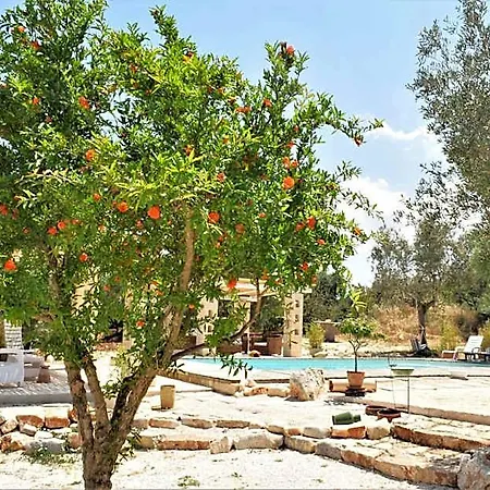 Wepuglia - Paradise Trulli Villa Castellana Grotte